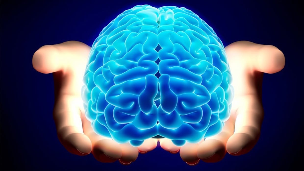 Neuromarketing, neurotodo.